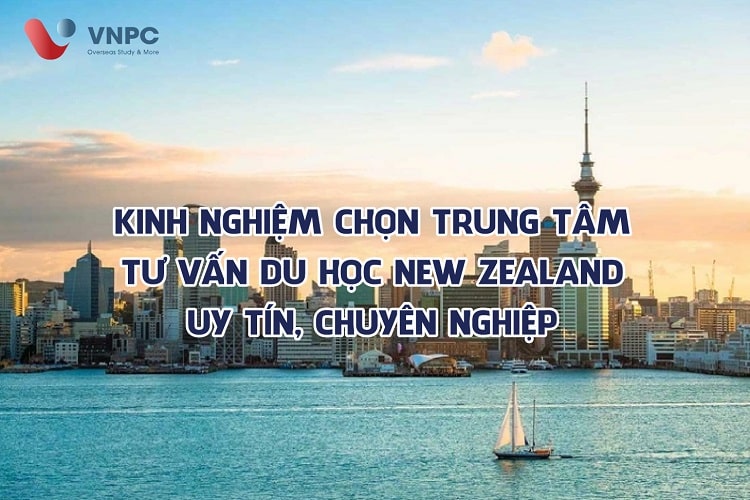 Trung tâm tư vấn du học New Zealand uy tín tại Hà Nội, TPHCM